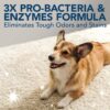 Extreme Pet Stain and Odor Remover 32 OZ - Image 3